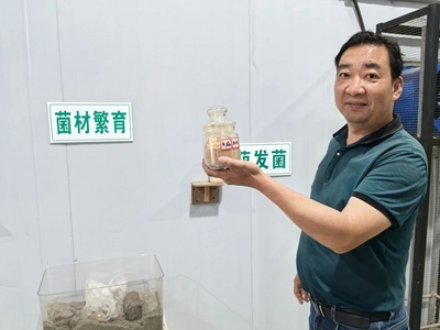 融合發展繪新卷，“茗新”振興正當時